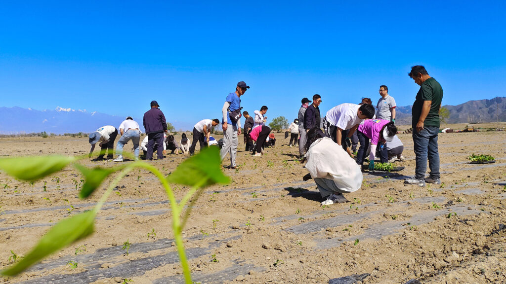 走进田园 播种希望|大润发贵宾厅物流春种团建活动