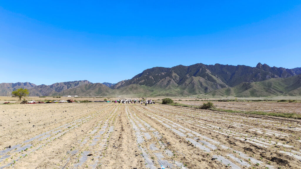 走进田园 播种希望|大润发贵宾厅物流春种团建活动