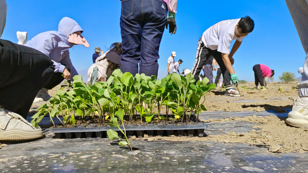 走进田园 播种希望|大润发贵宾厅物流春种团建活动